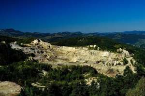 environment and the economy environment and the economy