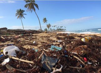 The sources of marine pollution The sources of marine pollution